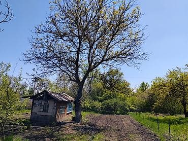 обмен кв на дом: 8 соток, Для сельского хозяйства — 6