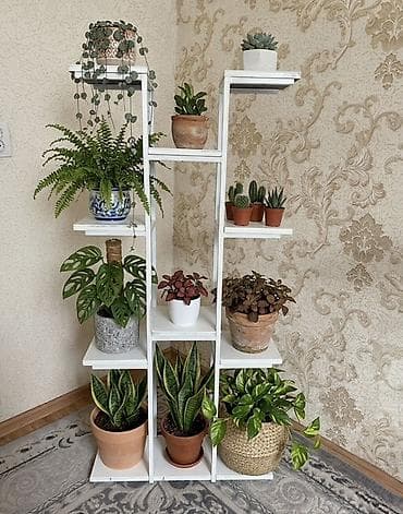 полка для комнатных цветов: Полка, этажерка для цветов, ЛДСП — 2