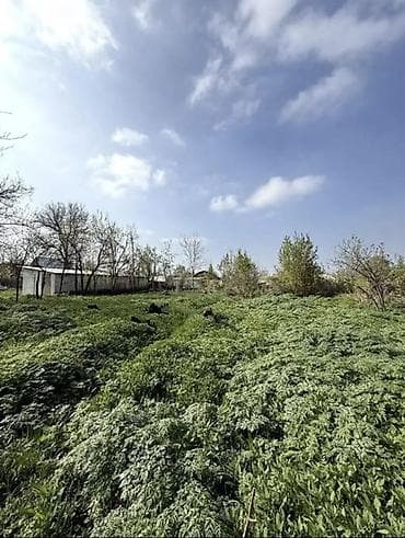 үй дордой: 4 соток, Курулуш, Кызыл китеп — 4