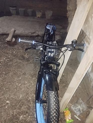 дурбу кап: Тоо велосипеди, Жаңы — 4