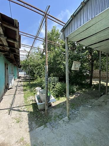 osh hostel: 14 соток, Для бизнеса, Красная книга, Тех паспорт, Договор купли-продажи — 4