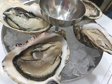 ледо: ЛЁД для морепродуктов, качество отличное — 1