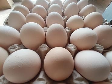 филтры для воды: С1 12.8сом Ех со 14 сом доставка бесплатно работаем постоянно — 1