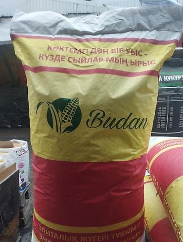 зерновой сейелка: Сапаттуу жугору уруктар 🌽🌽🌽келишим баада тазалыгына жана чыгышына — 4