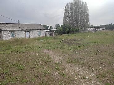 Жер тилкелери: 60 соток, Бизнес үчүн — 3