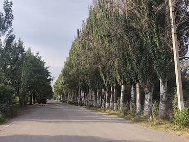 квартира каинды: 2 комнаты, 72 м², АЮ Гранд Элитка, 5 этаж, ПСО (под самоотделку) — 4