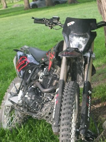 Мотоциклдер: Эндуро 300 куб. см, Бензин, Чоңдор үчүн, Жаңы — 3