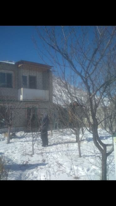 мини леса: Обрезка Плодовых 
Обрезка Хвойных
Делаем Качественно
+Обработка — 6