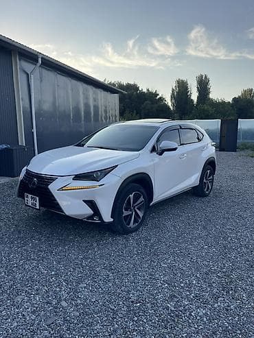 вито автамат: Lexus NX: 2020 г., 2 л, Автомат, Бензин, Кроссовер — 4