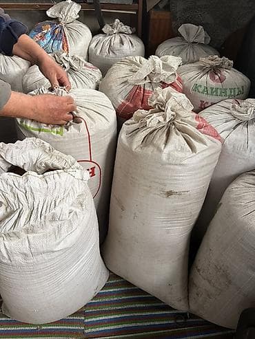 куплю малину оптом: Семена кормовых растений: Люцерна, Самовывоз — 4