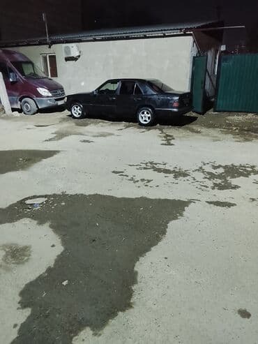 камера лампочка: Компактные люминесцентные лампы (CFL) и наборы посуды 1) — 3