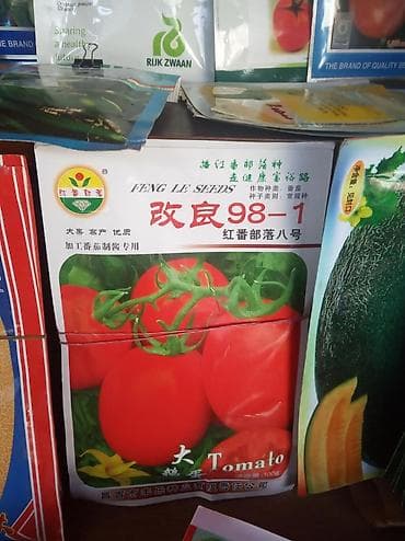 Продается семена Китай новичок помидор — 1