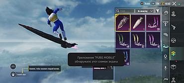 Nintendo: Игровой аккаунт PUBG MOBILE - Уровень аккаунта: 63, UID виден на — 10