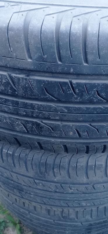 65: Шины 265 / 65 / R 17, Лето, Комплект, Внедорожные (АТ/МТ), Dunlop — 5