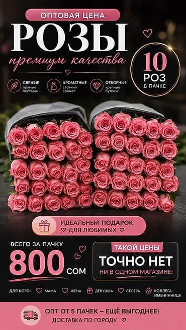 Розы премиум-качества — оптовая цена - Упаковка: 10 роз в пачке -