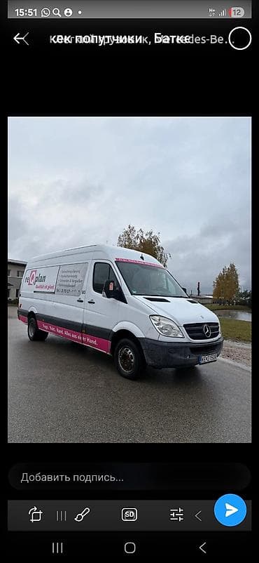 клеточные штаны: 4 тонн, По региону — 1