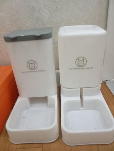 куплю конь: Отдаю кошку в хорошие руки, со всеми принадлежностями. кошка хорошая — 4