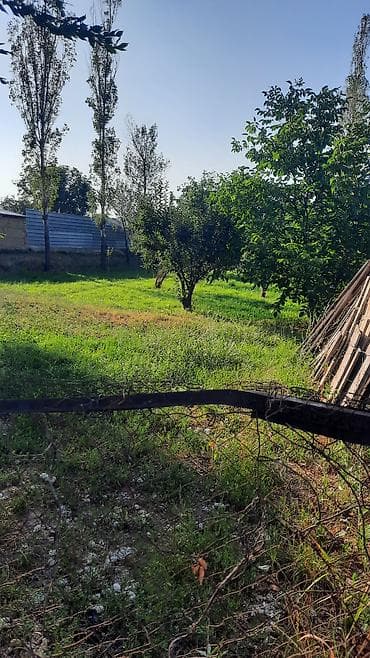 воронцовке: 8 соток, Красная книга, Тех паспорт, Договор купли-продажи — 5