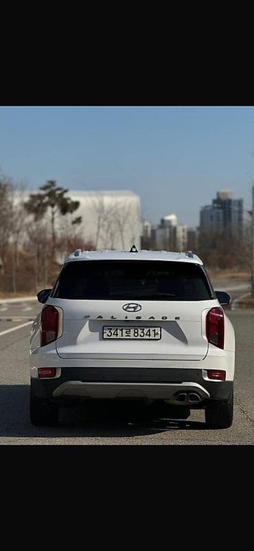 s4 2 2: Hyundai Palisade: 2020 г., 2.2 л, Автомат, Дизель, Кроссовер — 6