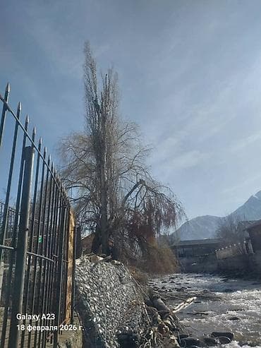 срубка дерева: Спил деревьеПрофессиональные высотные работы по деревьям удаление — 4