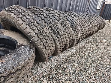 покрышки на грузовой: Колесные шины для грузового транспорта (партия)315/8020.5 - Тип — 2