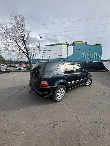 m класс: Mercedes-Benz ML-Class: 2002 г., 2.7 л, Автомат, Дизель, Кроссовер — 4