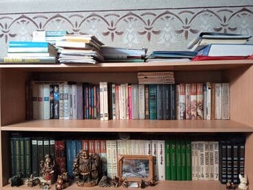 РАСПРОДАЖА КНИГ.
ПРОДАМ КНИГИ ПО 50 СОМ