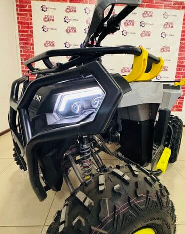 спидометры: Квадроцикл Бензин, 200 куб. см, Взрослый — 9