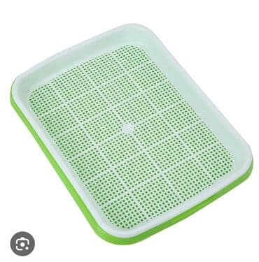 Зелень и микрозелень, Самовывоз at lalafo.kg Зелень и микрозелень, Самовывоз