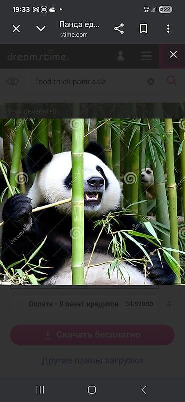 комнатный цветок жасмин: Бамбук садовый (кустовой тип) - Декоративный многолетник с — 2