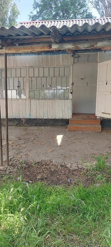 питомник розы: Дом с участком в зелёном саду. Село Туз, Иссык Атинский район — 6