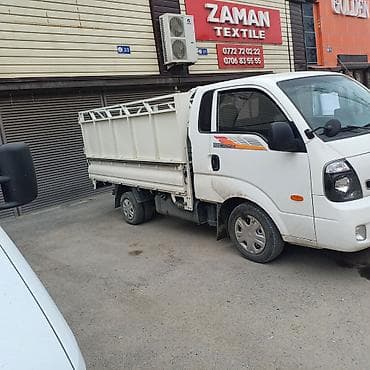 team terzo: Легкий грузовик, Kia, Стандарт — 3