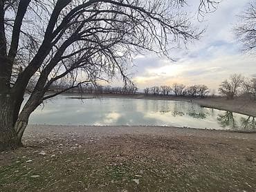 места для фаст фуда: 4 соток, Для строительства, Красная книга — 7