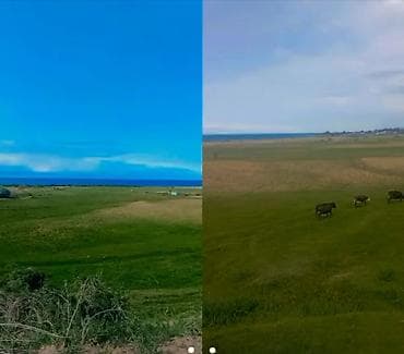 аппарат для бизнес: 10 соток, Для бизнеса, Красная книга — 2