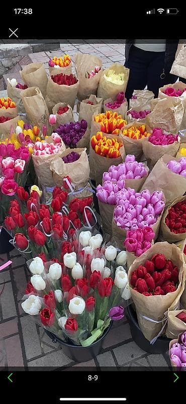 Организация мероприятий | Гелевые шары, Букеты, флористика, Ведущий, тамада