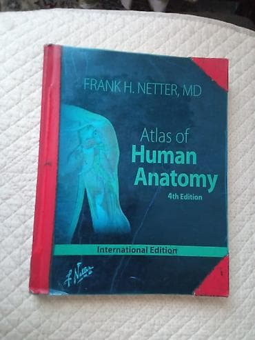 Медицинская одежда: Атлас анатомии" Фрэнка Неттера вот уже более 30 лет является лучшим и — 1