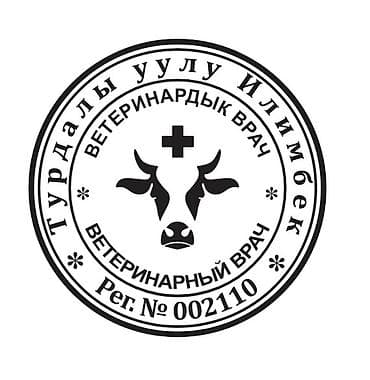 Үй жаныбарлары: Ветеринарная услуга: гуманное усыпление и посмертный сервис для — 4