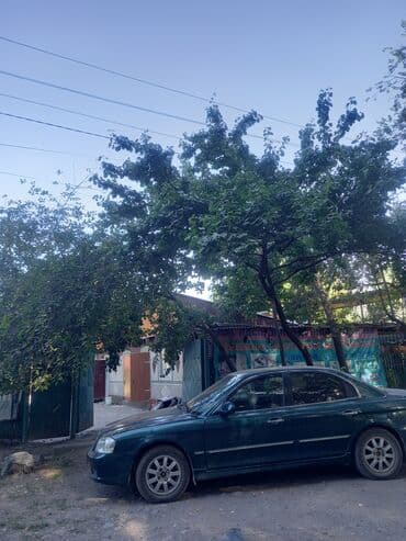 арка для цветов: Ищу саженцы уличного Жасмина, пахучего когда цветёт — 5