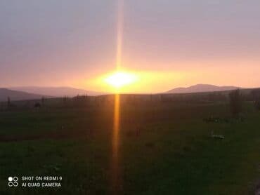 дом на день рождения: 25 соток, Для бизнеса, Красная книга, Тех паспорт, Договор купли-продажи — 8