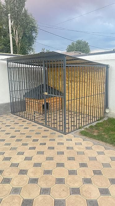 Вольер для собаки 3*2
В наличии at lalafo.kg Вольер для собаки 3*2
В наличии
