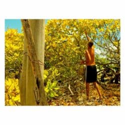 фото албом: Nikon COOLPIX S2600 Подходит для фотодневника, пейзажей, портретов — 27