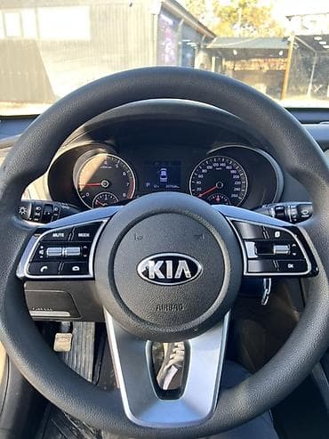 neta u pro: Kia K5: 2020 г., 2 л, Автомат, Газ, Седан — 7