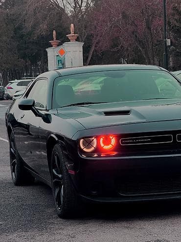 футляр для кия: Dodge Challenger: 2019 г., Купе — 4