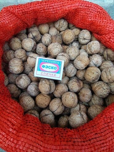 Мёд: Продаю: Грецкие орехи, со своего огорода, тонкокорые, урожай 2025 — 2