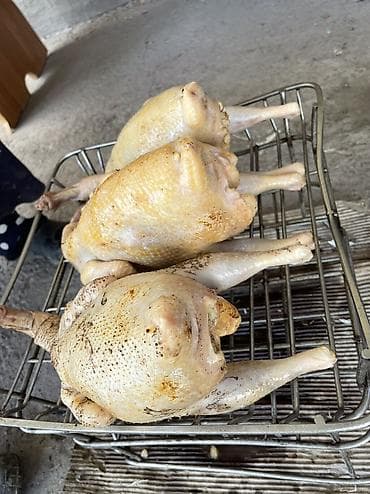Азык-түлүктөр: Домашние потрошёные куры (тушка целиком) Опаленная Вес 1.3-1.8 кг — 1