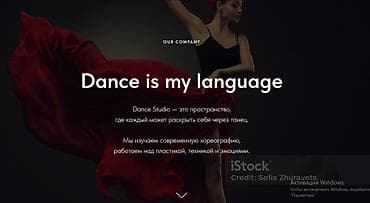 Тигүүчүлөр: Создание сайта под ключ — дизайн — адаптация под телефон — подключение — 3