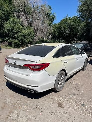 jeep compas: Запчасти для Hyundai Sonata LF (2014–2019) - Кузовные элементы — 6