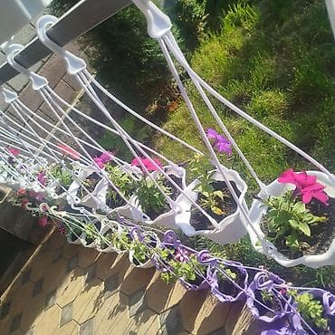 фильтры для аквариума: 🌿 Үйүңүзгө жандуулук кошуңуз! Болмо гүлдөр сатылат 🌸 ✨ Таза аба ✨ Кооз — 9