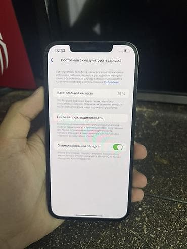 iphone 12 pro ош: IPhone 12 Pro Max, Б/у, 256 ГБ, Pacific Blue, 81 % — 9