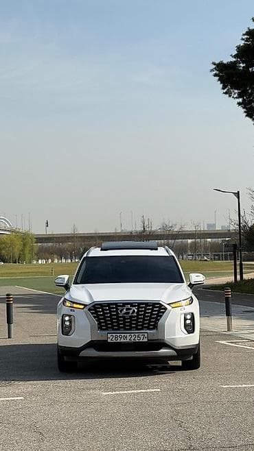range over: Hyundai Palisade: 2019 г., 2.2 л, Дизель, Кроссовер — 1